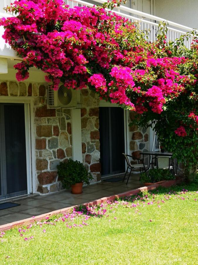 Sea&Sun Glyfada Apartment أثينا المظهر الخارجي الصورة